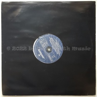 Donna Summer - She Works Hard For The Money • 12" Vinyl LP - Labyrinth Music