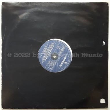 Donna Summer - She Works Hard For The Money • 12" Vinyl LP - Labyrinth Music