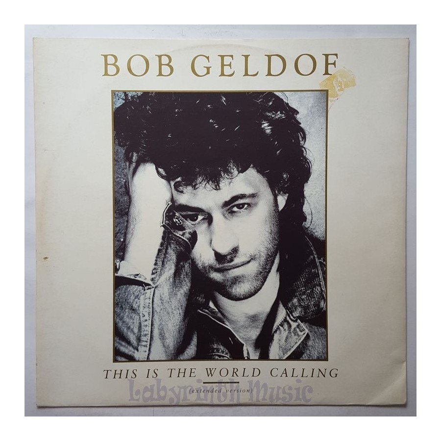 Bob Geldof - This Is The World Calling • 12" Vinyl Maxi • EX - Labyrinth Music