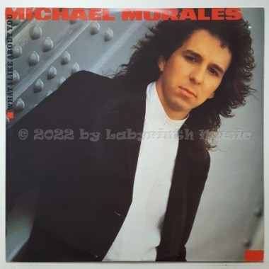 Michael Morales - What I Like About You • 12" Vinyl Maxi • EX - Labyrinth Music