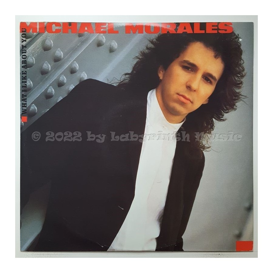 Michael Morales - What I Like About You • 12" Vinyl Maxi • EX - Labyrinth Music
