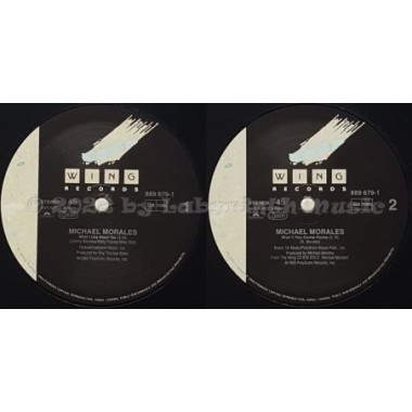 Michael Morales - What I Like About You • 12" Vinyl Maxi • EX - Labyrinth Music