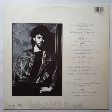 Bob Geldof - This Is The World Calling • 12" Vinyl Maxi • EX - Labyrinth Music