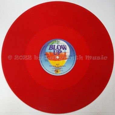 Yazz - Stand Up For Your Love Rights • 12" Vinyl Maxi - Labyrinth Music