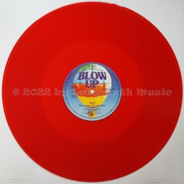 Yazz - Stand Up For Your Love Rights • 12" Vinyl Maxi • EX - Labyrinth Music