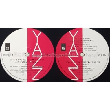 Yazz - Where Has All The Love Gone • Remix • 12" Vinyl Maxi - Labyrinth Music