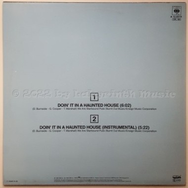 Yvonne Gage - Doin' It In A Haunted House • 12" Vinyl Maxi • EX - Labyrinth Music