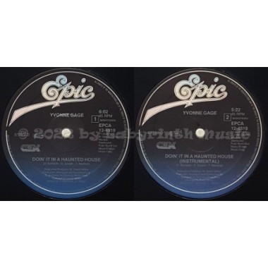 Yvonne Gage - Doin' It In A Haunted House • 12" Vinyl Maxi • EX - Labyrinth Music