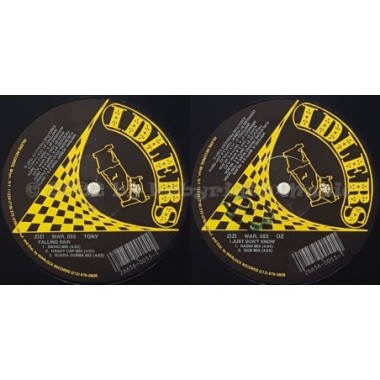 Zizi - Falling Rain • 12" Vinyl Maxi • EX - Labyrinth Music