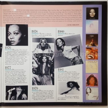 Diana Ross - The Very Best Of Diana Ross - Anthology • 12" Vinyl LP • MINT - Labyrinth Music
