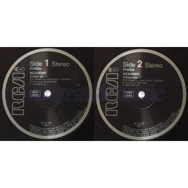 Academy - Stand Up • 12" Vinyl Maxi • EX - Labyrinth Music