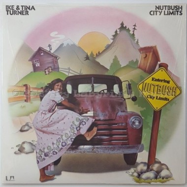 Ike & Tina Turner - Nutbush City Limits • 12" Vinyl LP • MINT - Labyrinth Music