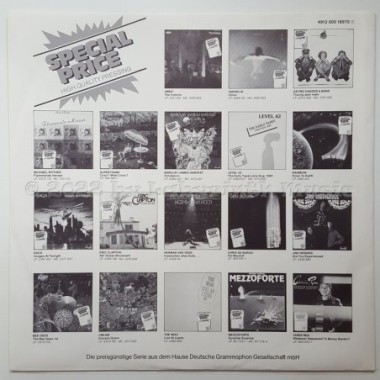 James Brown - Live At The Apollo • 12" Vinyl LP • MINT - Labyrinth Music