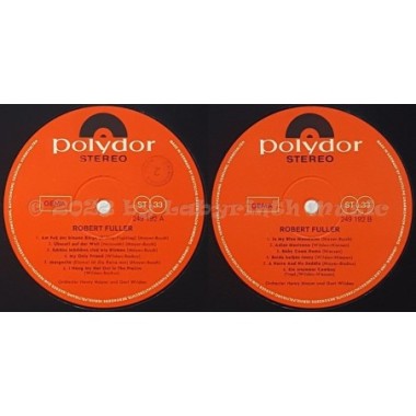 Robert Fuller - Am Fuss Der Blauen Berge • 12" Vinyl LP • NM - Labyrinth Music