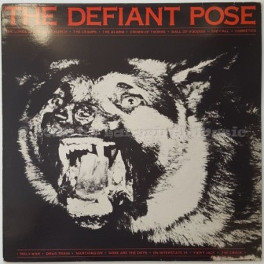 Various - The Defiant Pose • 12" Vinyl LP - Labyrinth Music