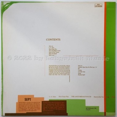 The Wolfhounds - The Essential Wolfhounds • 12" Vinyl LP • MINT - Labyrinth Music