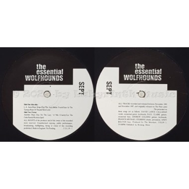 The Wolfhounds - The Essential Wolfhounds • 12" Vinyl LP • MINT - Labyrinth Music