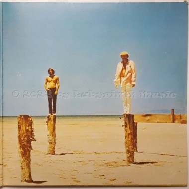 The Beach Boys - 20 Grössten Hits • 12" Vinyl LP • EX - Labyrinth Music