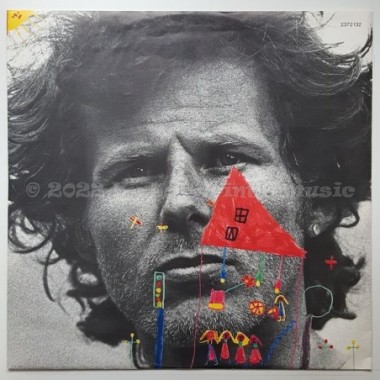 Georg Danzer & Band - Jetzt Oder Nie • 12" Vinyl LP • NM - Labyrinth Music