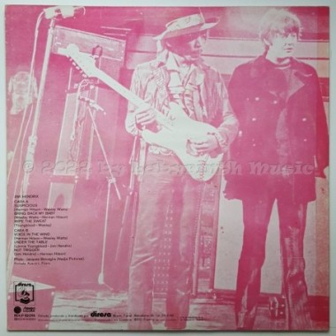 Jimi Hendrix - Jimi Hendrix • 12" Vinyl LP - Labyrinth Music