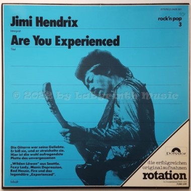 The Jimi Hendrix Experience - Are You Experienced • 12" Vinyl LP • NM - Labyrinth Music