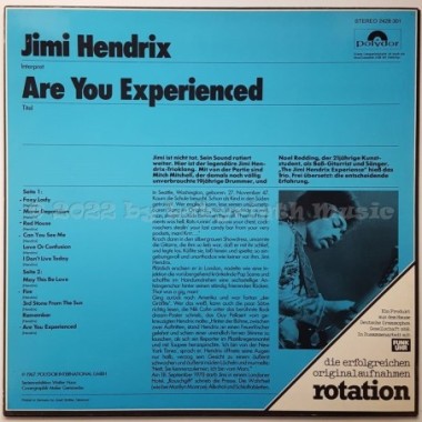 The Jimi Hendrix Experience - Are You Experienced • 12" Vinyl LP • NM - Labyrinth Music