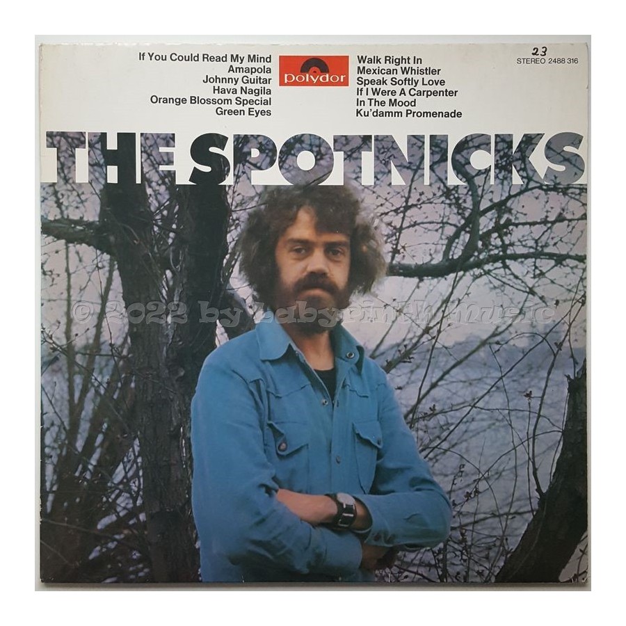 The Spotnicks - The Spotnicks • 12" Vinyl LP • EX - Labyrinth Music