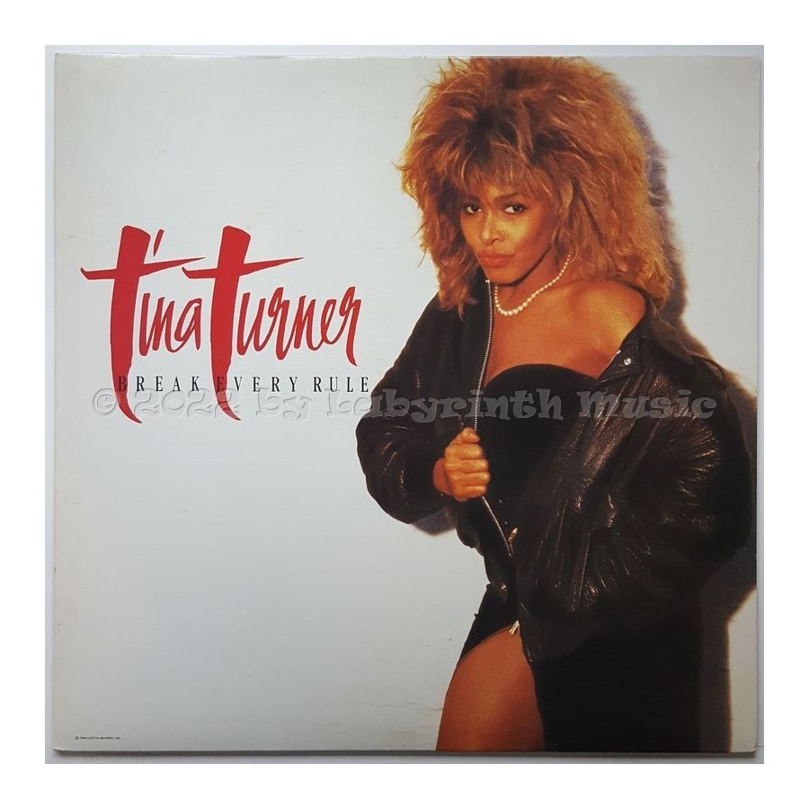 Tina Turner - Break Every Rule • 12" Vinyl LP • NM - Labyrinth Music