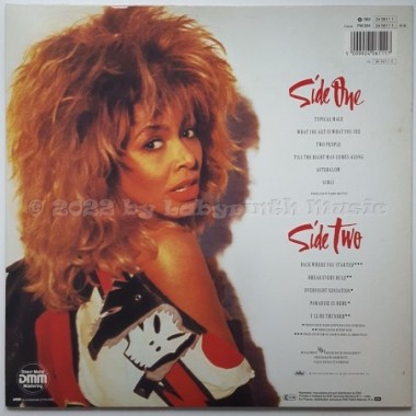 Tina Turner - Break Every Rule • 12" Vinyl LP • NM - Labyrinth Music