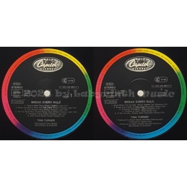 Tina Turner - Break Every Rule • 12" Vinyl LP • NM - Labyrinth Music