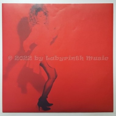 Tina Turner - Break Every Rule • 12" Vinyl LP • NM - Labyrinth Music