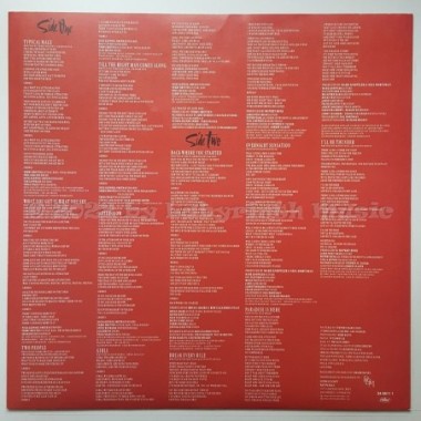 Tina Turner - Break Every Rule • 12" Vinyl LP • NM - Labyrinth Music