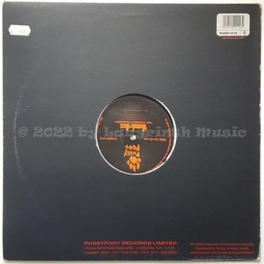 Headrillaz - Screaming Headz • 12" Vinyl Maxi - Labyrinth Music