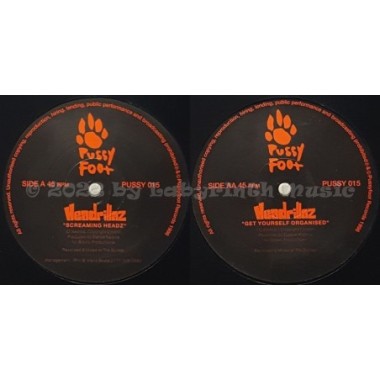 Headrillaz - Screaming Headz • 12" Vinyl Maxi - Labyrinth Music