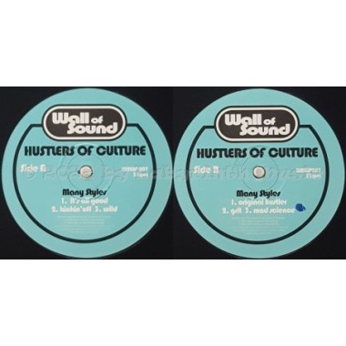 Hustlers Of Culture - Many Styles • 12" Vinyl LP • EX - Labyrinth Music