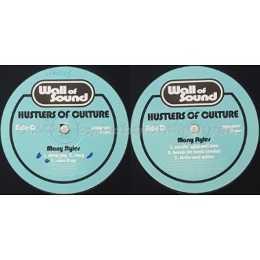 Hustlers Of Culture - Many Styles • 12" Vinyl LP • EX - Labyrinth Music