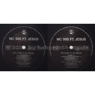 MC 900 Ft Jesus - Welcome To My Dream • 12" Vinyl LP • EX - Labyrinth Music