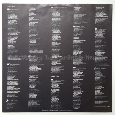 Munich Machine Introducing The Midnite Ladies - Munich Machine • 12" Vinyl LP - Labyrinth Music