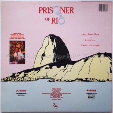 Ronnie B - Prisoner Of Rio • 12" Vinyl Maxi • EX - Labyrinth Music