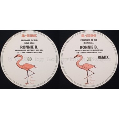 Ronnie B - Prisoner Of Rio • 12" Vinyl Maxi • EX - Labyrinth Music
