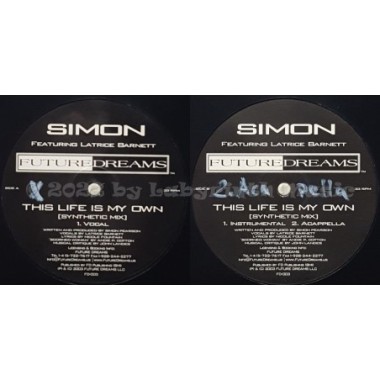 Simon Feat. Latrice Barnett - This Life Is My Own • 12" Vinyl Maxi - Labyrinth Music