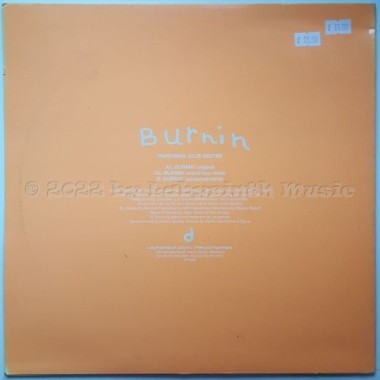 Tate's Place - Burnin • 12" Vinyl Maxi - Labyrinth Music