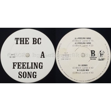 Unknown Artist - Summerhit 91 - The BC Feeling Song • 12" Vinyl Maxi - Labyrinth Music