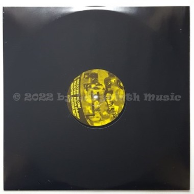 Various - The World Of Delirium ... Volume 1 • 12" Vinyl LP - Labyrinth Music