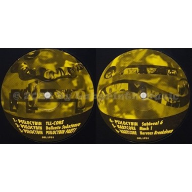 Various - The World Of Delirium ... Volume 1 • 12" Vinyl LP - Labyrinth Music