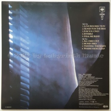 Alison Moyet - Alf • 12" Vinyl LP • NM - Labyrinth Music