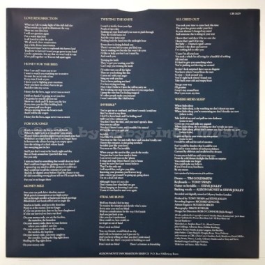 Alison Moyet - Alf • 12" Vinyl LP • NM - Labyrinth Music