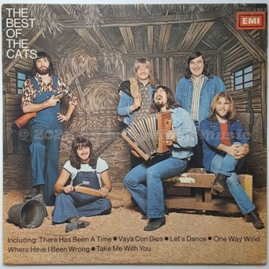 The Cats - The Best Of The Cats • 12" Vinyl LP - Labyrinth Music