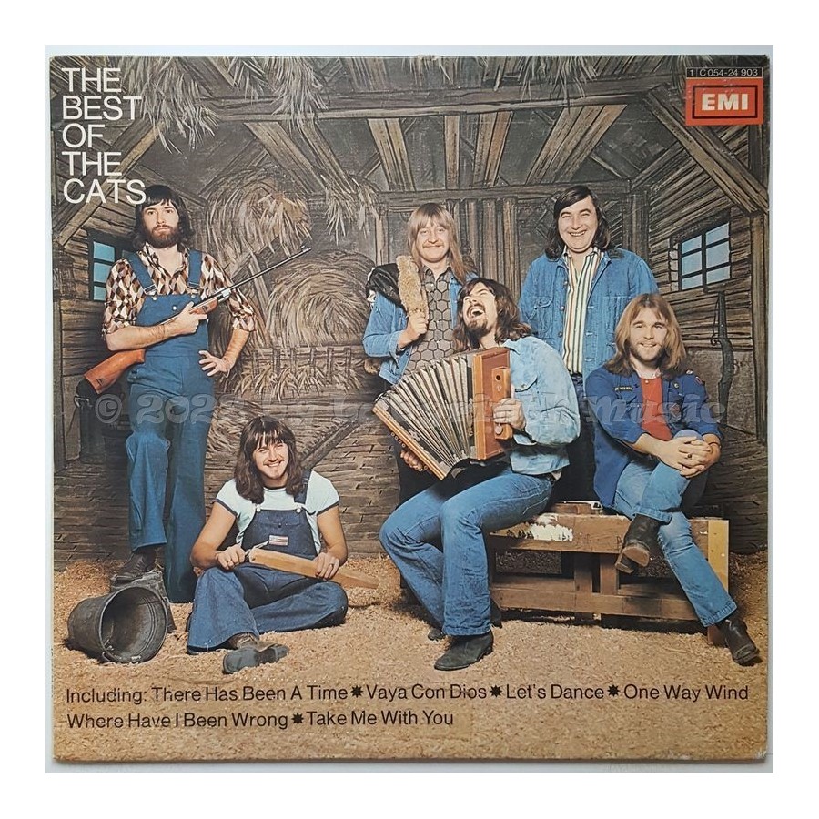 The Cats - The Best Of The Cats • 12" Vinyl LP - Labyrinth Music