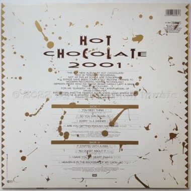 Hot Chocolate - 2001 • 12" Vinyl LP • MINT - Labyrinth Music